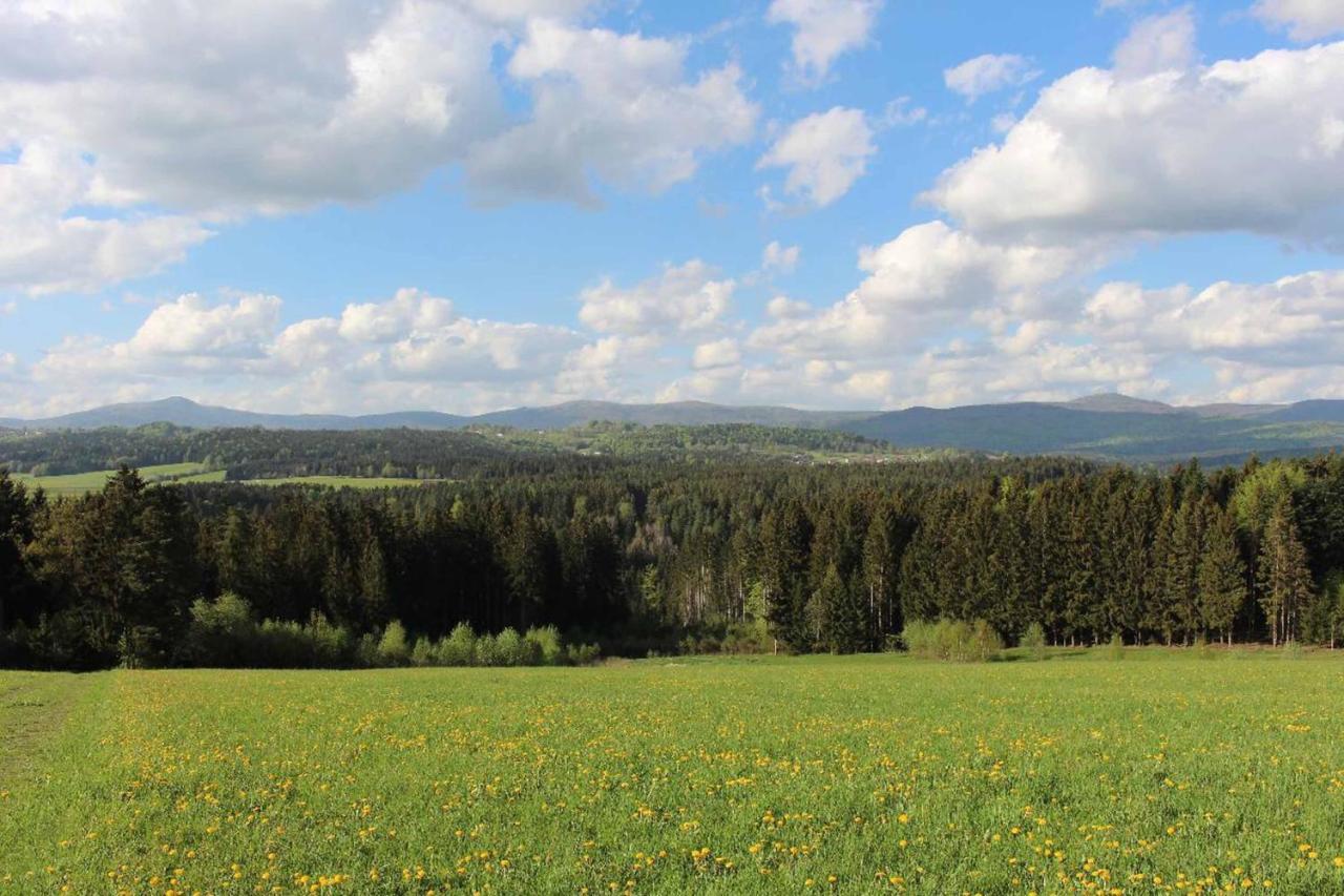 Landhotel Kleblmuehle Ґрафенау Екстер'єр фото
